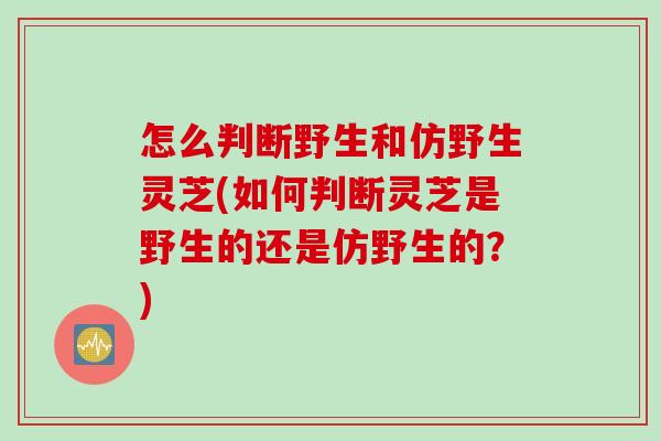 怎么判断野生和仿野生灵芝(如何判断灵芝是野生的还是仿野生的？)