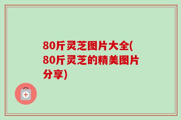 80斤灵芝图片大全(80斤灵芝的精美图片分享)