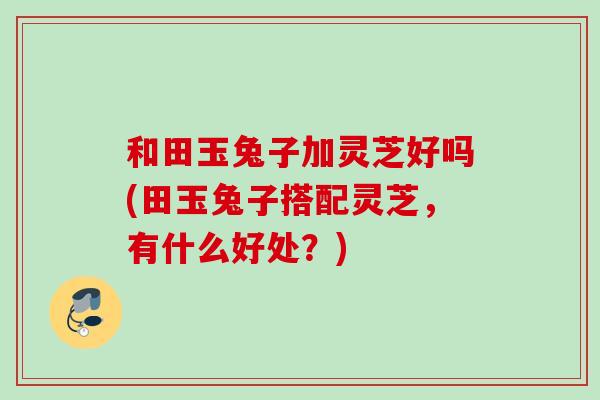 和田玉兔子加灵芝好吗(田玉兔子搭配灵芝，有什么好处？)