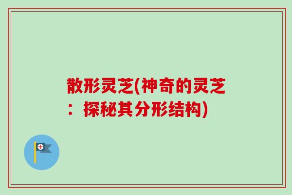 散形灵芝(神奇的灵芝：探秘其分形结构)