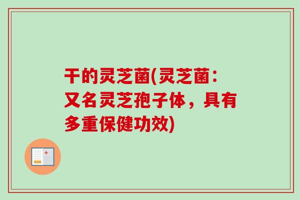 干的灵芝菌(灵芝菌:又名灵芝孢子体,具有多重保健功效) 干的灵芝菌(灵芝菌:又名灵芝孢子体,具有多重保健功效)