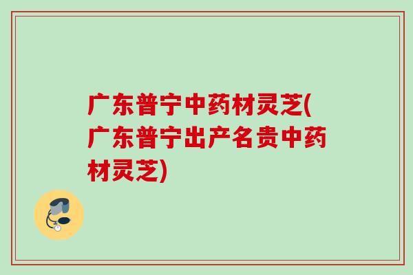 广东普宁中药材灵芝(广东普宁出产名贵中药材灵芝)