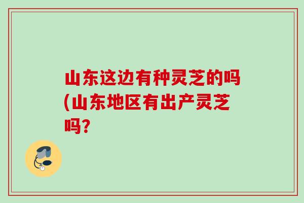 山东这边有种灵芝的吗(山东地区有出产灵芝吗？