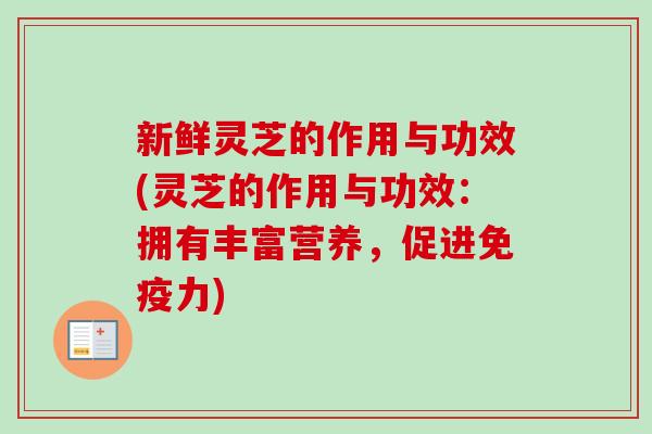 新鲜灵芝的作用与功效(灵芝的作用与功效：拥有丰富营养，促进免疫力)