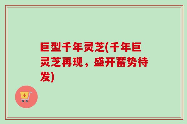 巨型千年灵芝(千年巨灵芝再现，盛开蓄势待发)