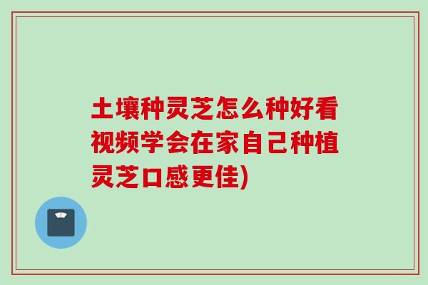 土壤种灵芝怎么种好看视频学会在家自己种植灵芝口感更佳)