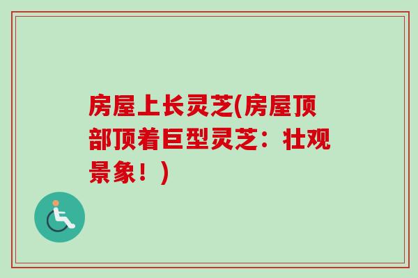 房屋上长灵芝(房屋顶部顶着巨型灵芝：壮观景象！)