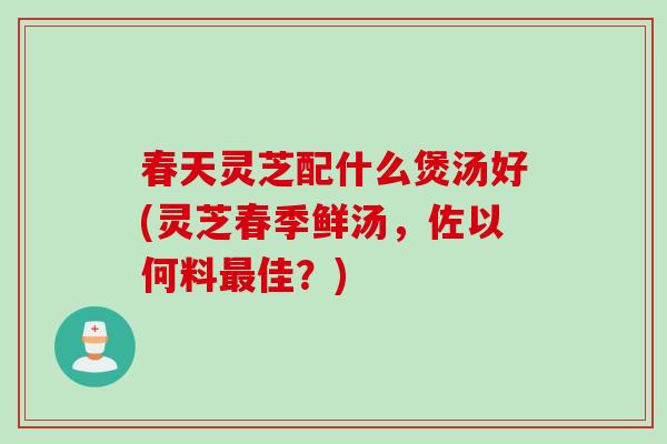 春天灵芝配什么煲汤好(灵芝春季鲜汤，佐以何料最佳？)