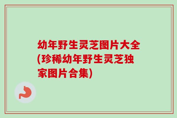幼年野生灵芝图片大全(珍稀幼年野生灵芝独家图片合集)