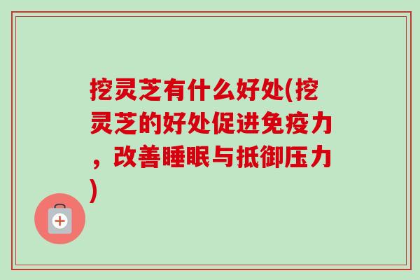 挖灵芝有什么好处(挖灵芝的好处促进免疫力，改善睡眠与抵御压力)