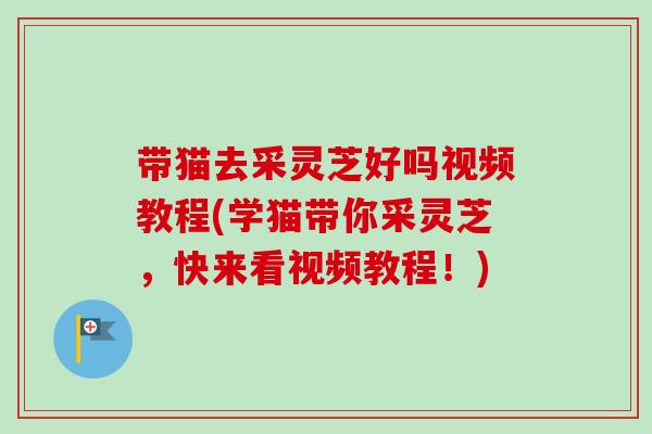 带猫去采灵芝好吗视频教程(学猫带你采灵芝，快来看视频教程！)