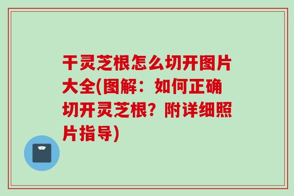 干灵芝根怎么切开图片大全(图解：如何正确切开灵芝根？附详细照片指导)