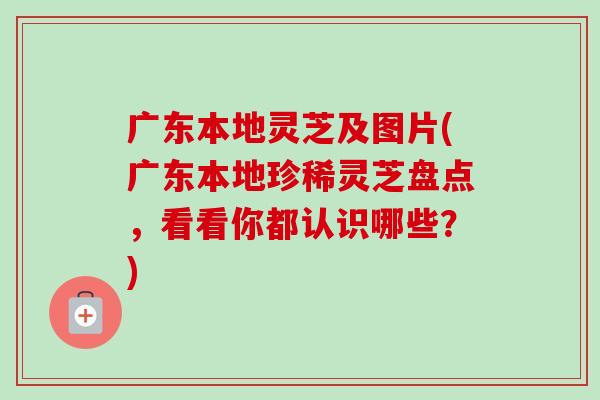 广东本地灵芝及图片(广东本地珍稀灵芝盘点，看看你都认识哪些？)
