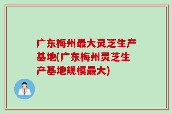 广东梅州最大灵芝生产基地(广东梅州灵芝生产基地规模最大)
