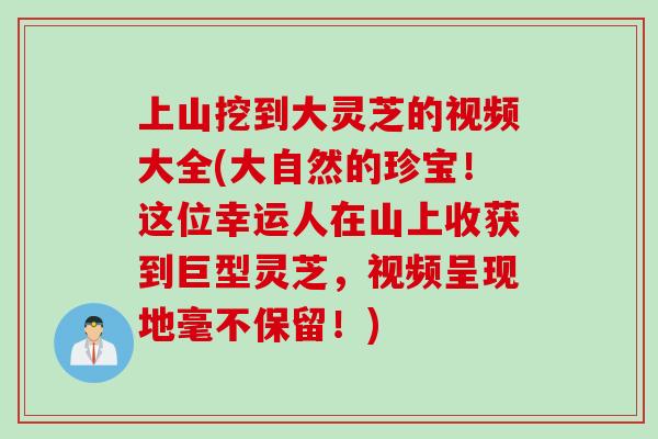 上山挖到大灵芝的视频大全(大自然的珍宝！这位幸运人在山上收获到巨型灵芝，视频呈现地毫不保留！)