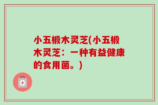 小五椴木灵芝(小五椴木灵芝：一种有益健康的食用菌。)