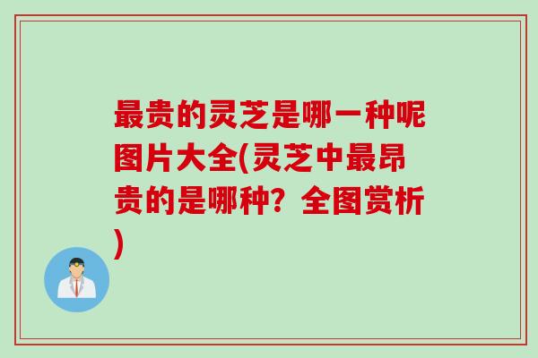最贵的灵芝是哪一种呢图片大全(灵芝中最昂贵的是哪种？全图赏析)