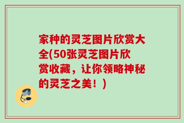 家种的灵芝图片欣赏大全(50张灵芝图片欣赏收藏，让你领略神秘的灵芝之美！)