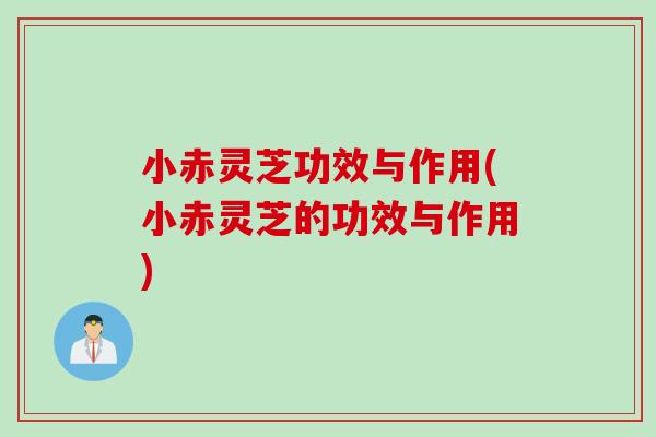 小赤灵芝功效与作用(小赤灵芝的功效与作用)