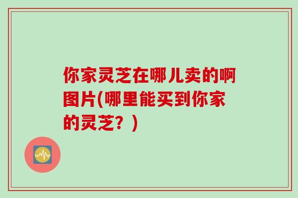 你家灵芝在哪儿卖的啊图片(哪里能买到你家的灵芝？)