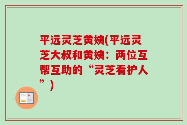 平远灵芝黄姨(平远灵芝大叔和黄姨:两位互帮互助的“灵芝看护人”) 平远灵芝黄姨(平远灵芝大叔和黄姨:两位互帮互助的“灵芝看护人”)