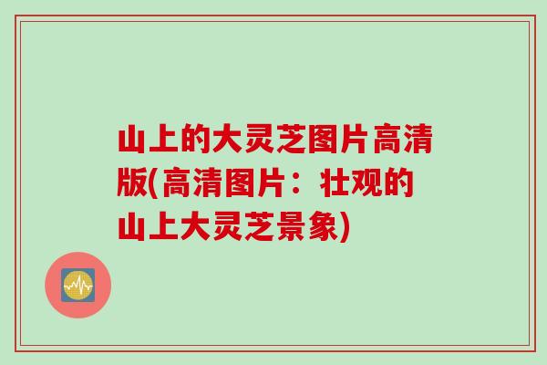 山上的大灵芝图片高清版(高清图片：壮观的山上大灵芝景象)