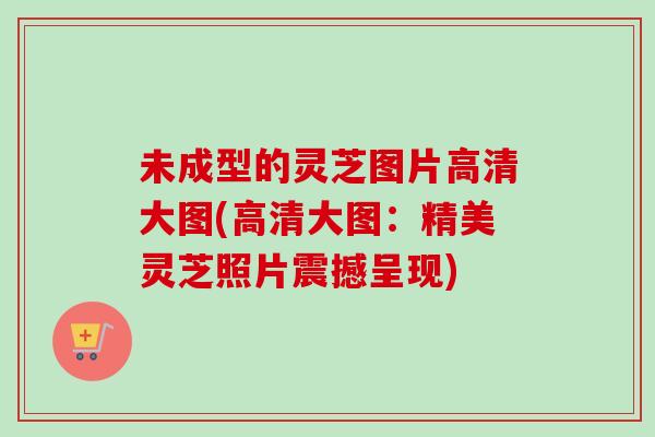 未成型的灵芝图片高清大图(高清大图：精美灵芝照片震撼呈现)