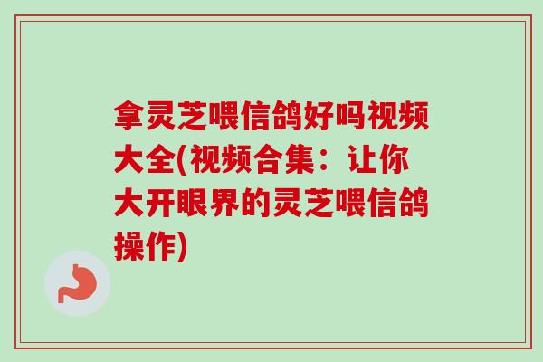 拿灵芝喂信鸽好吗视频大全(视频合集：让你大开眼界的灵芝喂信鸽操作)