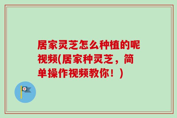 居家灵芝怎么种植的呢视频(居家种灵芝,简单操作视频教你!) 居家灵芝怎么种植的呢视频(居家种灵芝,简单操作视频教你!)