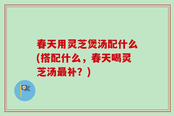 春天用灵芝煲汤配什么(搭配什么，春天喝灵芝汤补？)