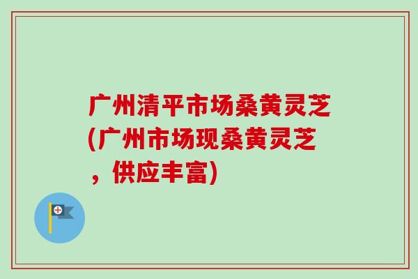 广州清平市场桑黄灵芝(广州市场现桑黄灵芝，供应丰富)