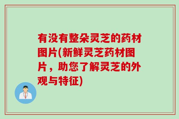 有没有整朵灵芝的药材图片(新鲜灵芝药材图片，助您了解灵芝的外观与特征)