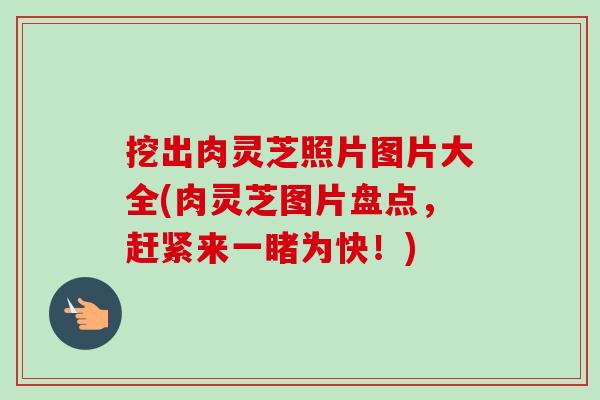 挖出肉灵芝照片图片大全(肉灵芝图片盘点，赶紧来一睹为快！)