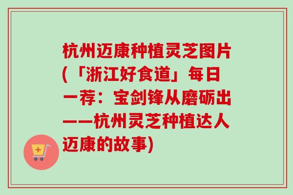杭州迈康种植灵芝图片(「浙江好食道」每日一荐：宝剑锋从磨砺出——杭州灵芝种植达人迈康的故事)