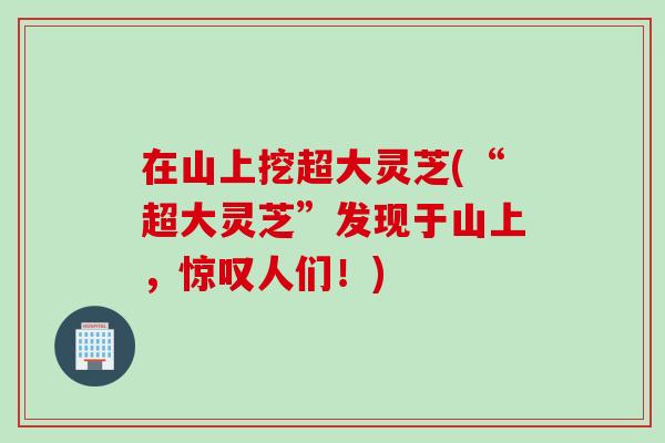 在山上挖超大灵芝(“超大灵芝”发现于山上，惊叹人们！)