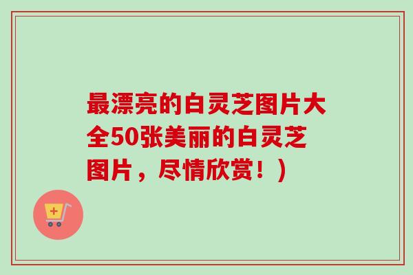 最漂亮的白灵芝图片大全50张美丽的白灵芝图片，尽情欣赏！)
