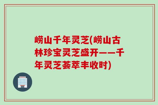 崂山千年灵芝(崂山古林珍宝灵芝盛开——千年灵芝荟萃丰收时)