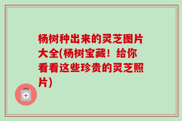 杨树种出来的灵芝图片大全(杨树宝藏！给你看看这些珍贵的灵芝照片)