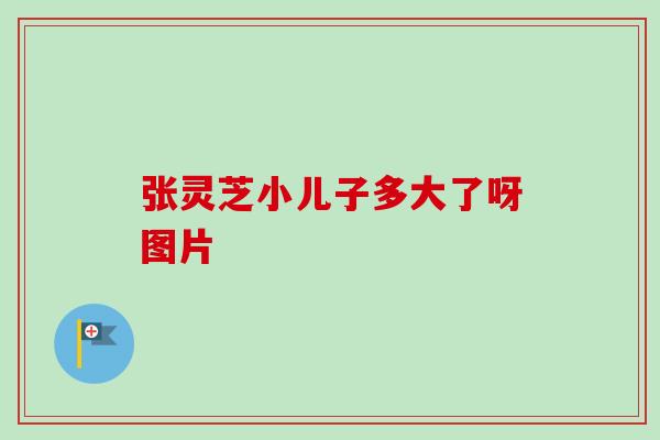 张灵芝小儿子多大了呀图片 张灵芝小儿子多大了呀图片