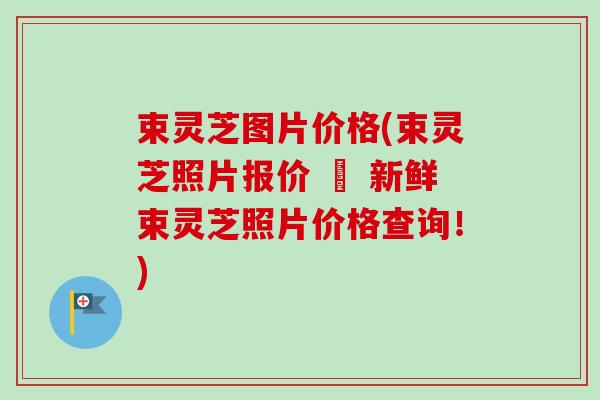 束灵芝图片价格(束灵芝照片报价 – 新鲜束灵芝照片价格查询！)