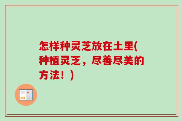 怎样种灵芝放在土里(种植灵芝，尽善尽美的方法！)