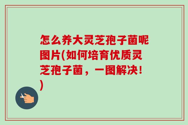 怎么养大灵芝孢子菌呢图片(如何培育优质灵芝孢子菌，一图解决！)