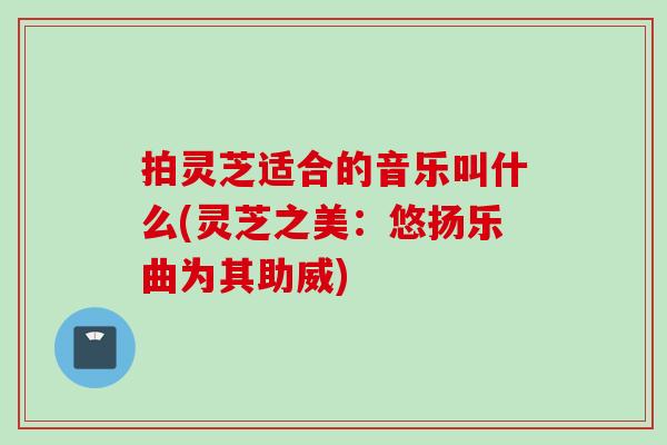 拍灵芝适合的音乐叫什么(灵芝之美：悠扬乐曲为其助威)