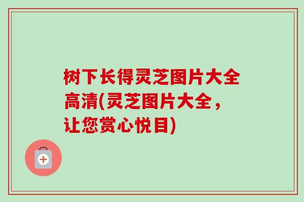 树下长得灵芝图片大全高清(灵芝图片大全，让您赏心悦目)