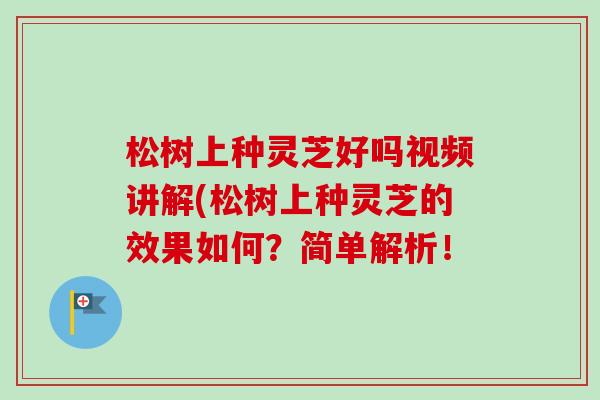 松树上种灵芝好吗视频讲解(松树上种灵芝的效果如何?简单解析! 松树上种灵芝好吗视频讲解(松树上种灵芝的效果如何?简单解析!