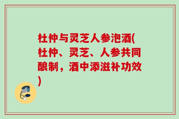 杜仲与灵芝人参泡酒(杜仲、灵芝、人参共同酿制，酒中添滋补功效)