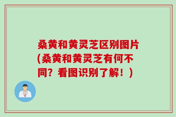 桑黄和黄灵芝区别图片(桑黄和黄灵芝有何不同？看图识别了解！)