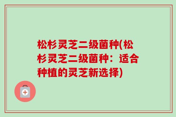松杉灵芝二级菌种(松杉灵芝二级菌种：适合种植的灵芝新选择)