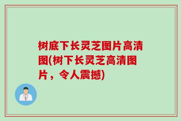 树底下长灵芝图片高清图(树下长灵芝高清图片，令人震撼)