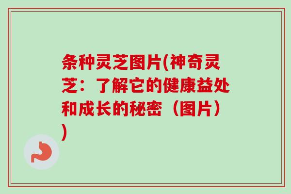 条种灵芝图片(神奇灵芝：了解它的健康益处和成长的秘密（图片）)